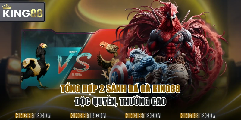 Tổng hợp 2 sảnh Đá Gà KING88 độc quyền, thưởng cao